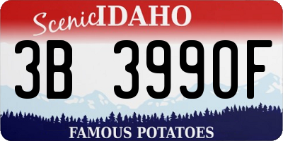 ID license plate 3B3990F