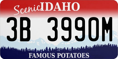 ID license plate 3B3990M