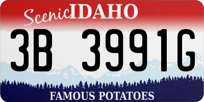 ID license plate 3B3991G