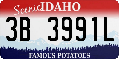 ID license plate 3B3991L