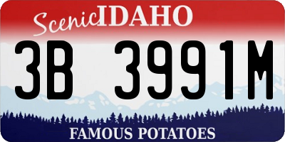 ID license plate 3B3991M