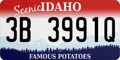 ID license plate 3B3991Q