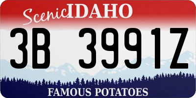 ID license plate 3B3991Z