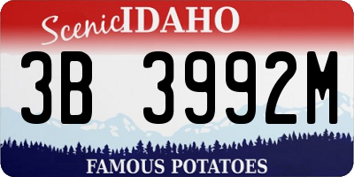 ID license plate 3B3992M