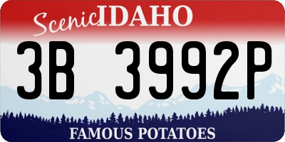 ID license plate 3B3992P