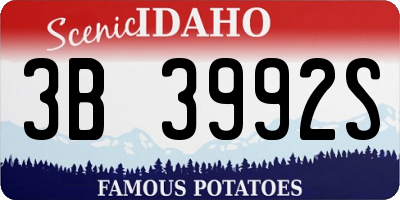 ID license plate 3B3992S