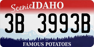 ID license plate 3B3993B
