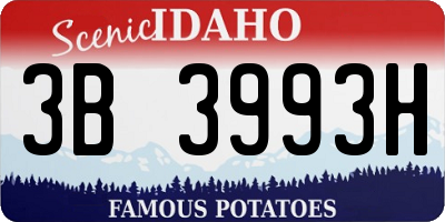 ID license plate 3B3993H
