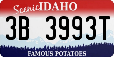 ID license plate 3B3993T