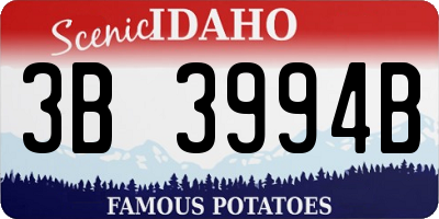 ID license plate 3B3994B