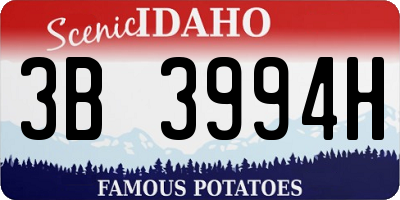 ID license plate 3B3994H