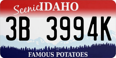 ID license plate 3B3994K