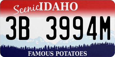 ID license plate 3B3994M