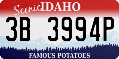 ID license plate 3B3994P