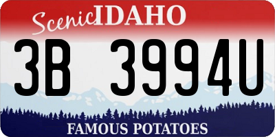 ID license plate 3B3994U