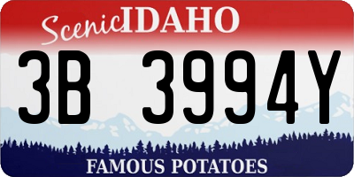 ID license plate 3B3994Y