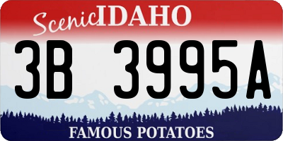 ID license plate 3B3995A