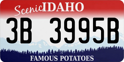 ID license plate 3B3995B