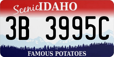 ID license plate 3B3995C