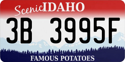 ID license plate 3B3995F