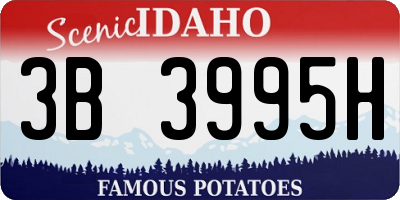 ID license plate 3B3995H