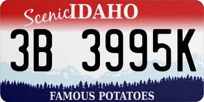 ID license plate 3B3995K