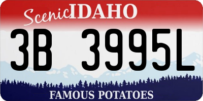 ID license plate 3B3995L
