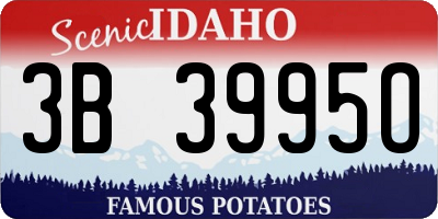 ID license plate 3B3995O