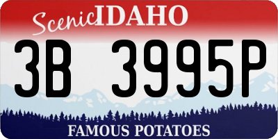 ID license plate 3B3995P