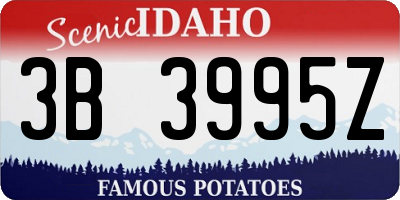 ID license plate 3B3995Z