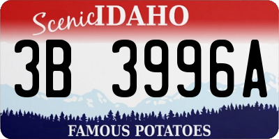 ID license plate 3B3996A