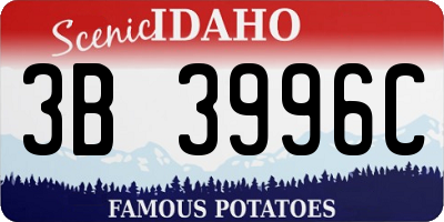 ID license plate 3B3996C