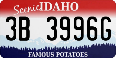 ID license plate 3B3996G