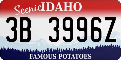 ID license plate 3B3996Z
