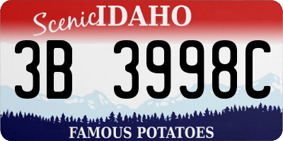 ID license plate 3B3998C