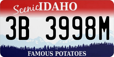 ID license plate 3B3998M