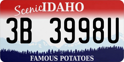 ID license plate 3B3998U