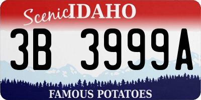ID license plate 3B3999A