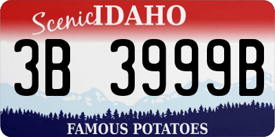 ID license plate 3B3999B