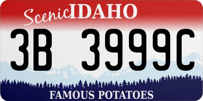 ID license plate 3B3999C