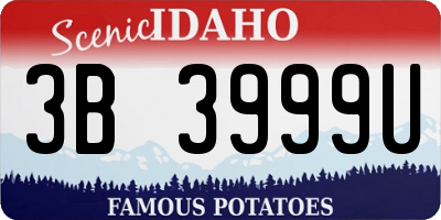 ID license plate 3B3999U