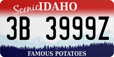 ID license plate 3B3999Z