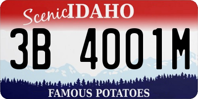 ID license plate 3B4001M