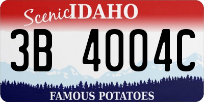 ID license plate 3B4004C