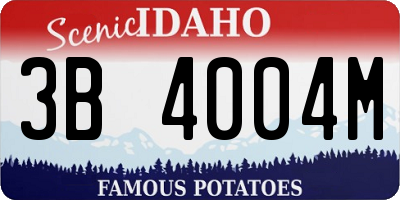 ID license plate 3B4004M