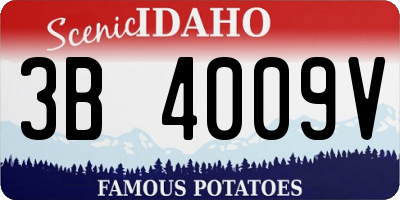 ID license plate 3B4009V