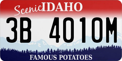 ID license plate 3B4010M