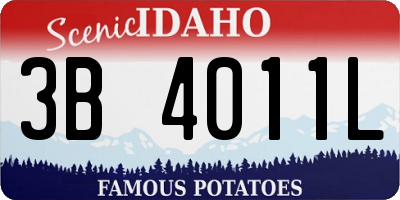 ID license plate 3B4011L