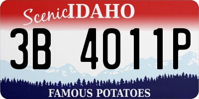 ID license plate 3B4011P
