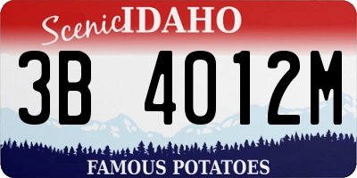 ID license plate 3B4012M